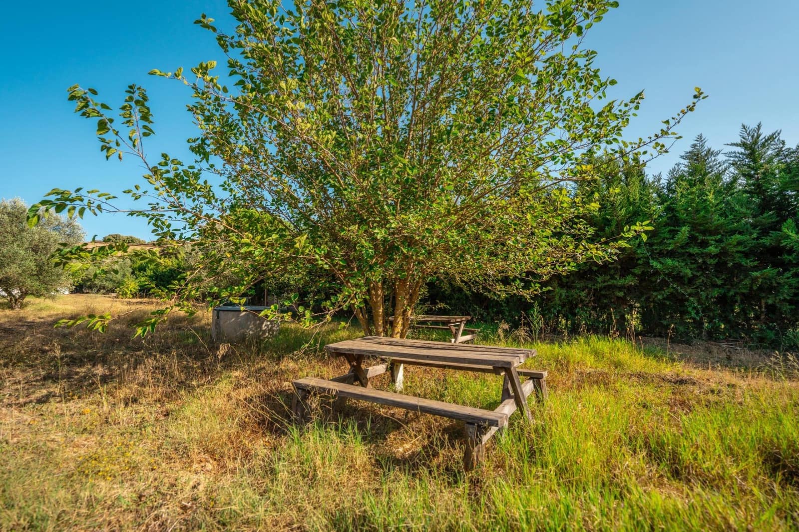 2 chambre Finca/Maison de Campagne à vendre à San Roque - 330 000 € (Ref: 9195553)