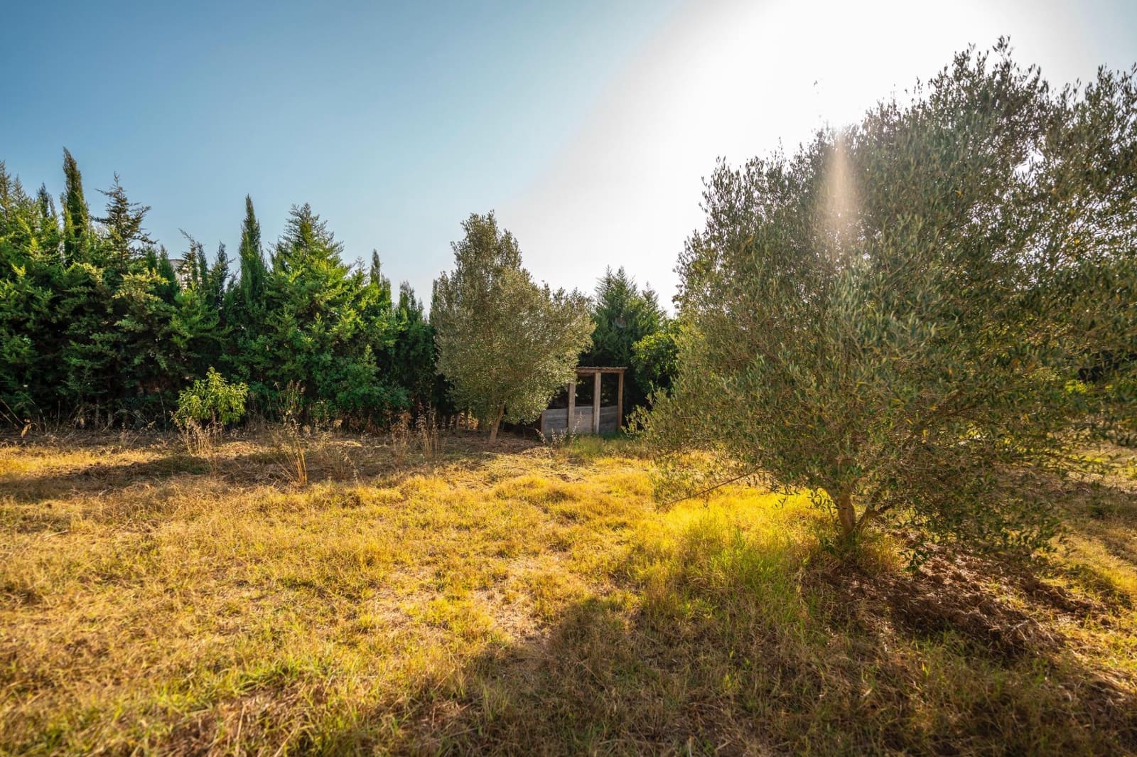 2 chambre Finca/Maison de Campagne à vendre à San Roque - 330 000 € (Ref: 9195553)