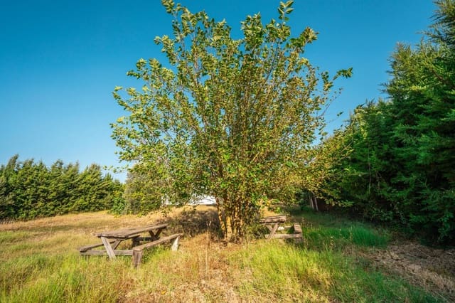 2 chambre Finca/Maison de Campagne à vendre à San Roque Pueblo, San Roque - 330 000 € (Ref: 9195553)