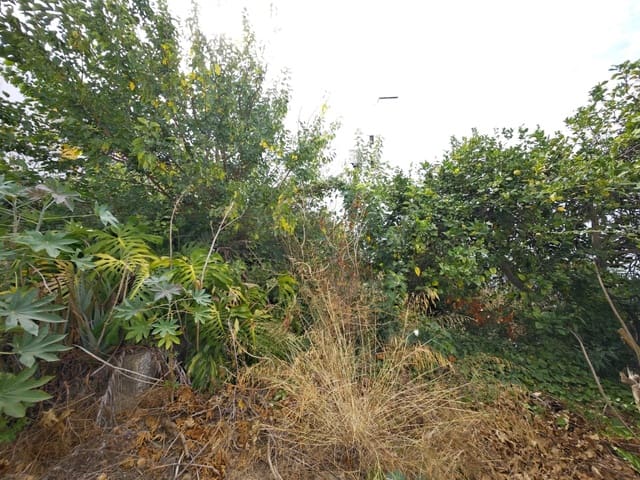 Terreno para Construção para venda em San Roque Pueblo, San Roque - 550 000 € (Ref: 9321927)