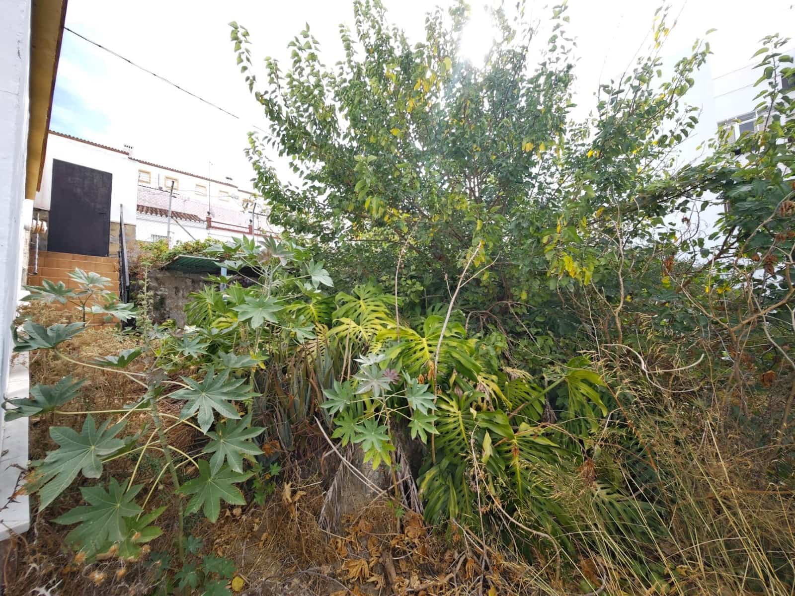 Terreno para Construção para venda em San Roque - 550 000 € (Ref: 9321927)