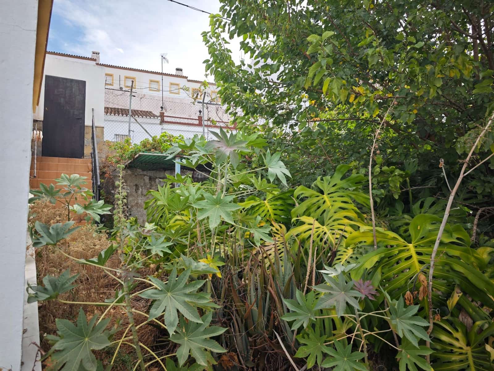 Terreno para Construção para venda em San Roque - 550 000 € (Ref: 9321927)