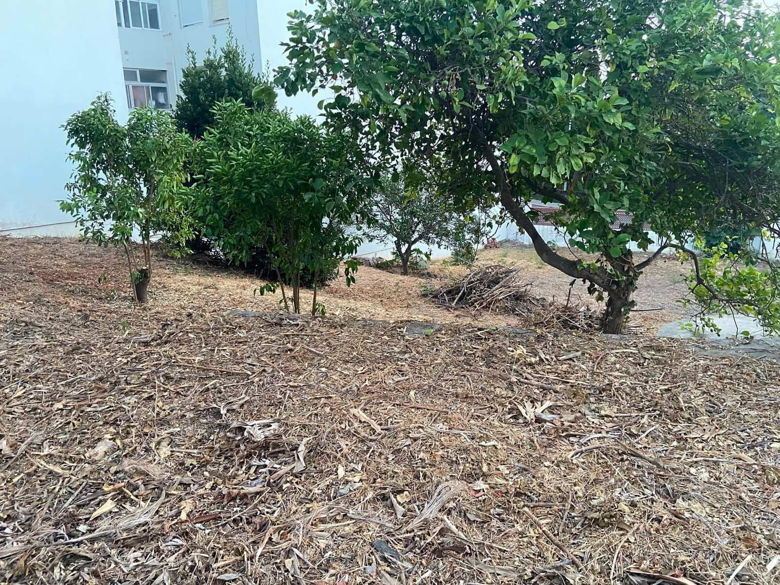 Terreno para Construção para venda em San Roque - 550 000 € (Ref: 9321927)