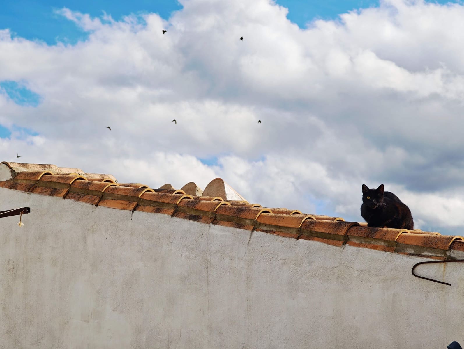 3 soverom Hus til salgs i Jimena de la Frontera - € 105 000 (Ref: 9402780)