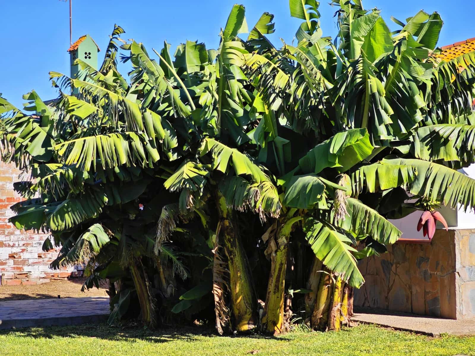 3 soveværelse Villa til salg i La Linea de la Concepcion med swimmingpool garage - € 395.000 (Ref: 9407832)