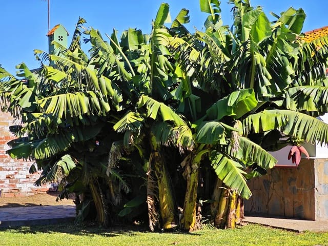 3 soveværelse Villa til salg i El Zabal - Santa Margarita, La Línea de la Concepción med swimmingpool garage - € 395.000 (Ref: 9407832)