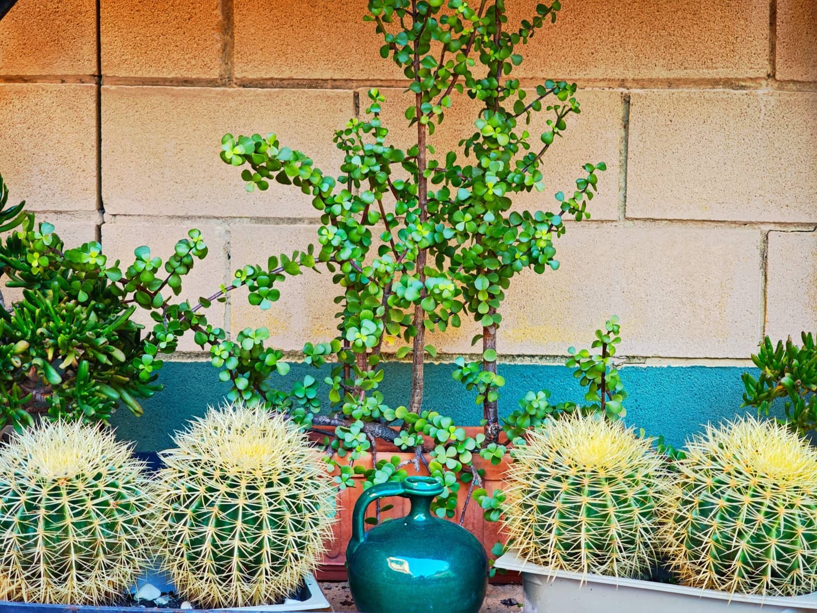 3 bedroom Semi-detached Villa for sale in Algeciras with pool garage - € 350,000 (Ref: 9407833)