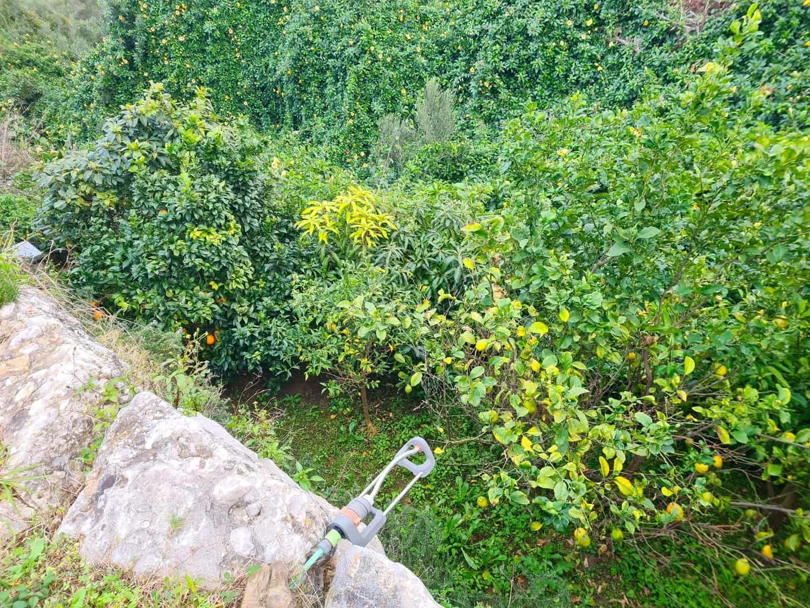 4 slaapkamer Villa te koop in Algeciras met zwembad - € 640.000 (Ref: 9407983)