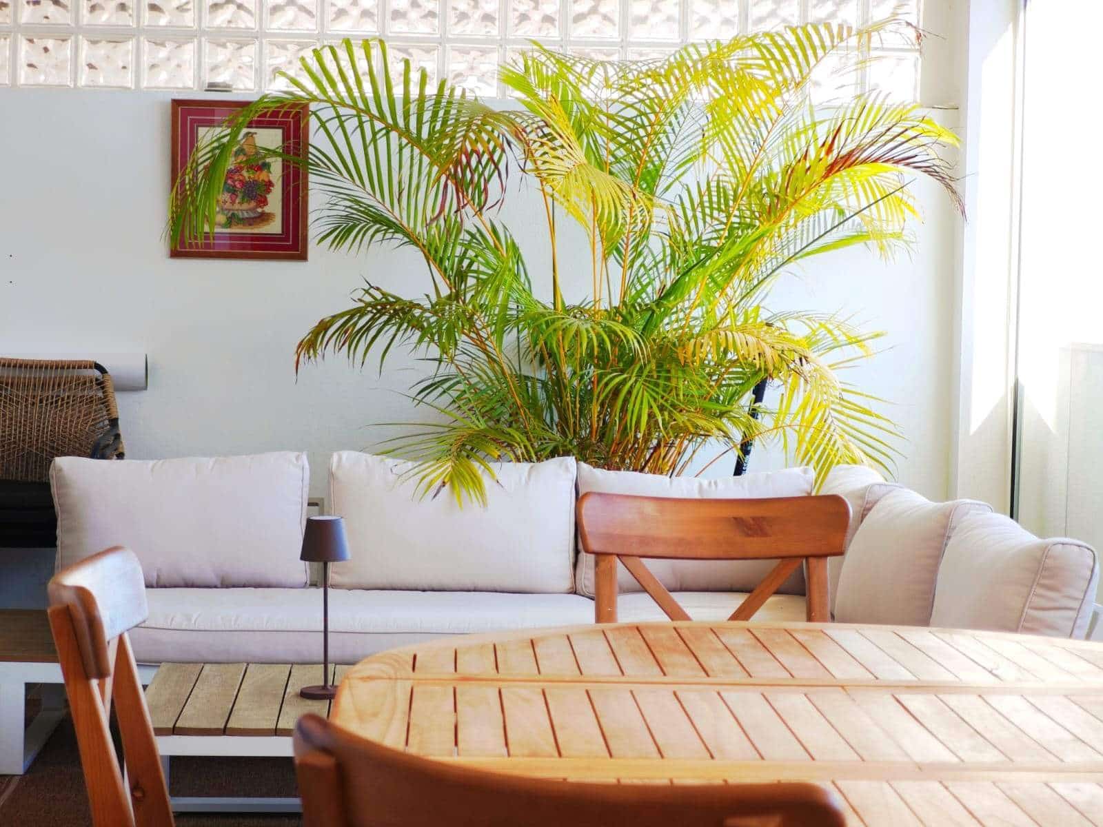 2 sypialnia Apartament na sprzedaż w La Alcaidesa z basenem - 298 000 € (Ref: 9439013)