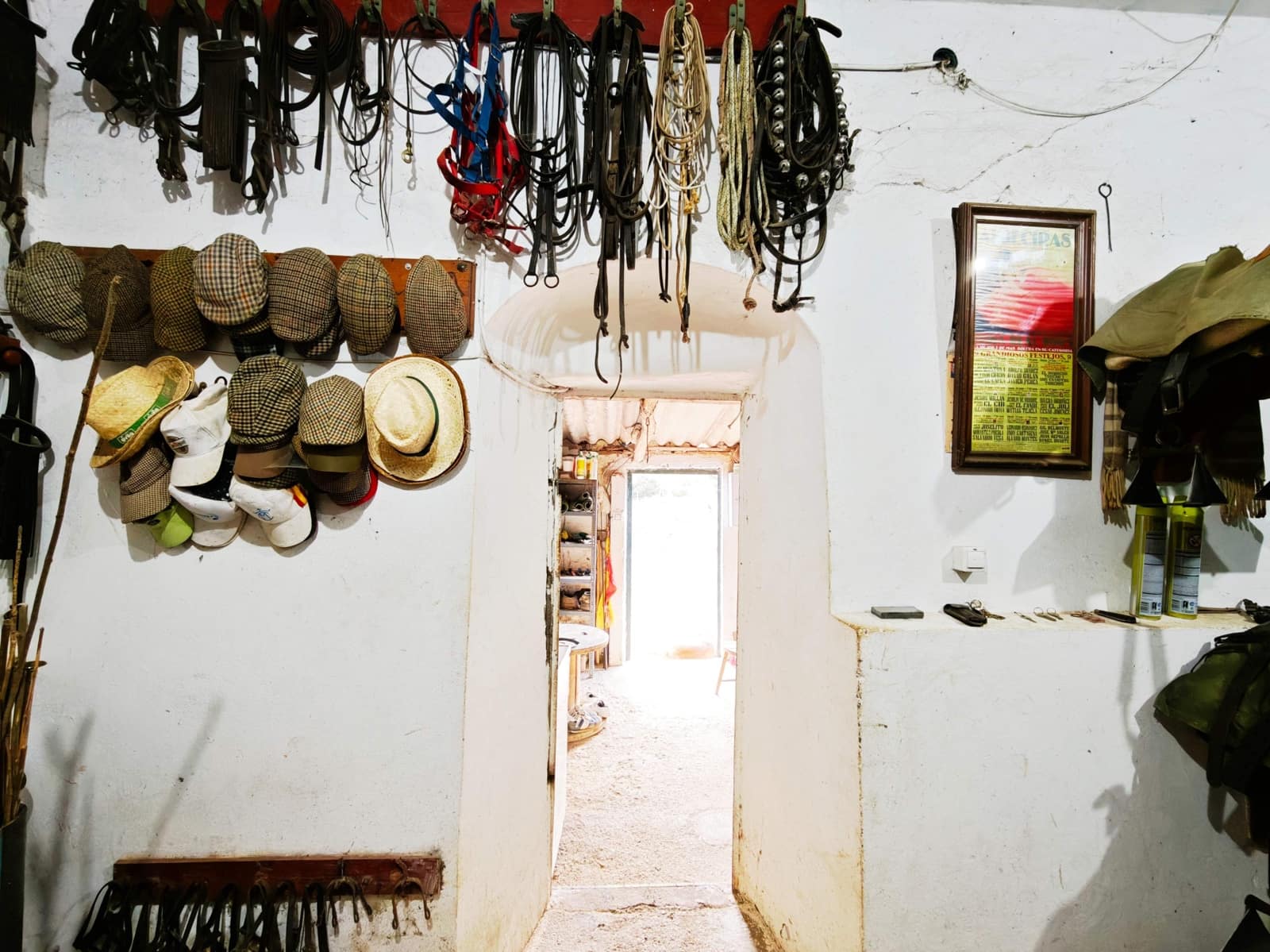 2 bedroom Finca/Country House for sale in Algeciras - € 590,000 (Ref: 9502385)