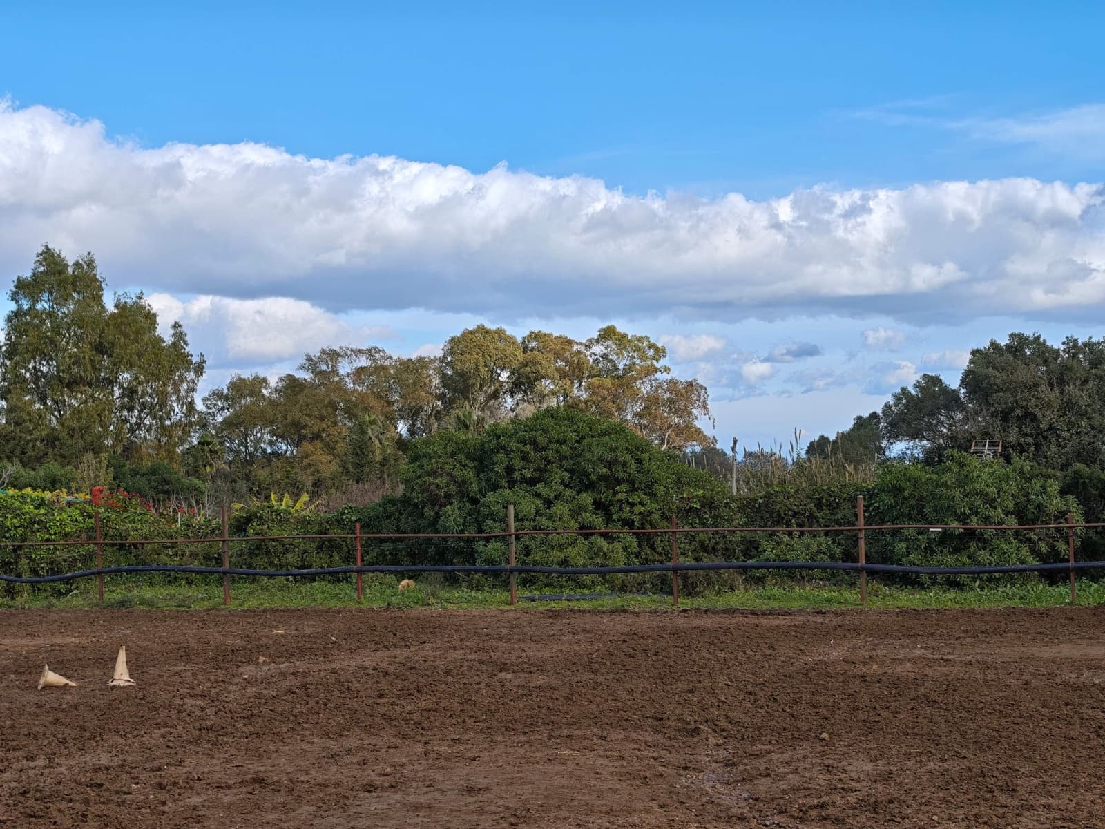 2 bedroom Finca/Country House for sale in Algeciras - € 590,000 (Ref: 9502385)