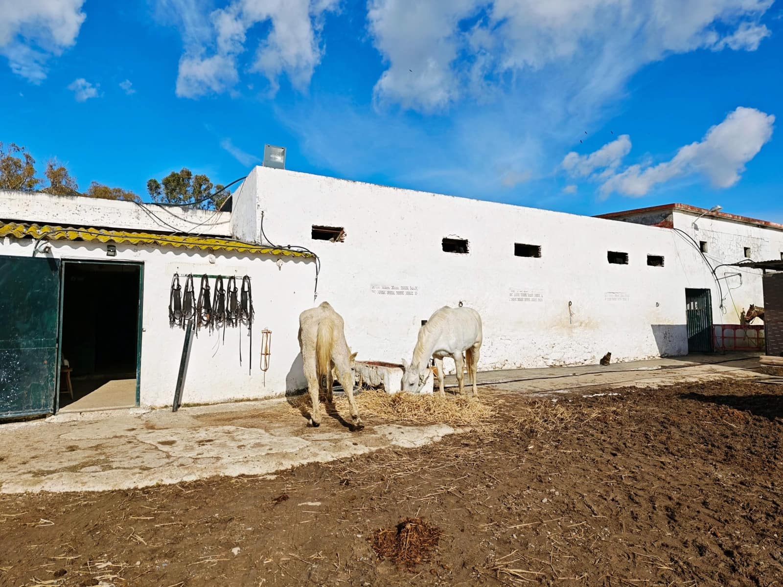 2 bedroom Finca/Country House for sale in Algeciras - € 590,000 (Ref: 9502385)