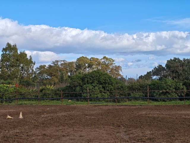 2 soveværelse Finca/Landehus til salg i Algeciras - € 590.000 (Ref: 9502385)