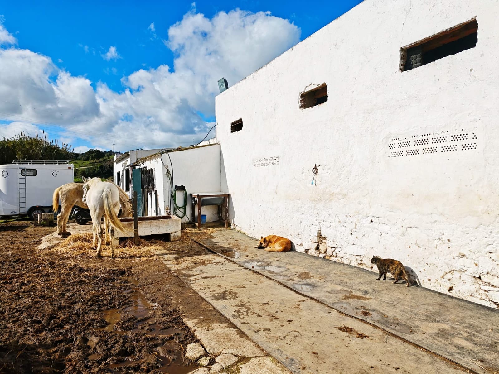 2 bedroom Finca/Country House for sale in Algeciras - € 590,000 (Ref: 9502385)