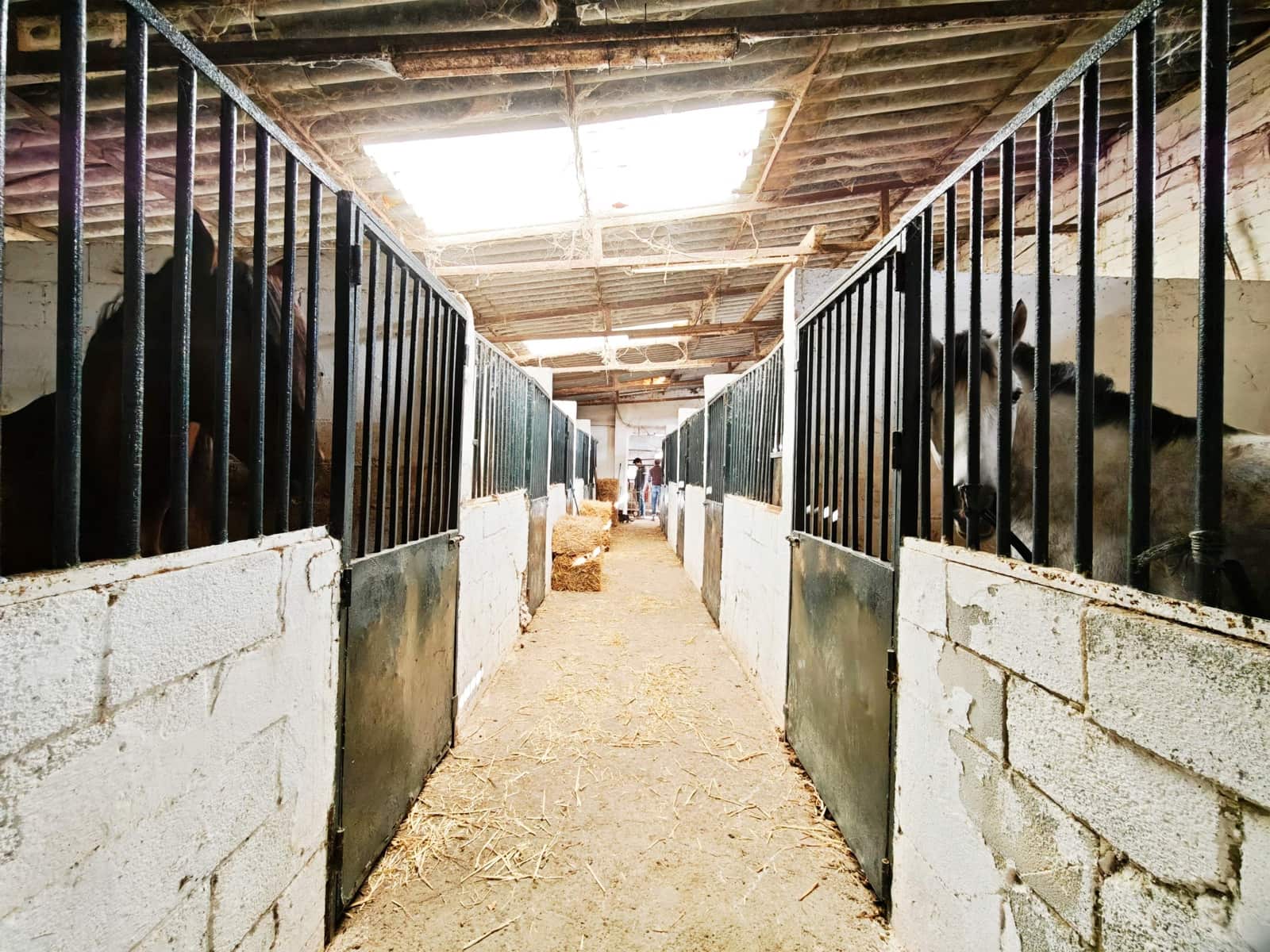 2 bedroom Finca/Country House for sale in Algeciras - € 590,000 (Ref: 9502385)