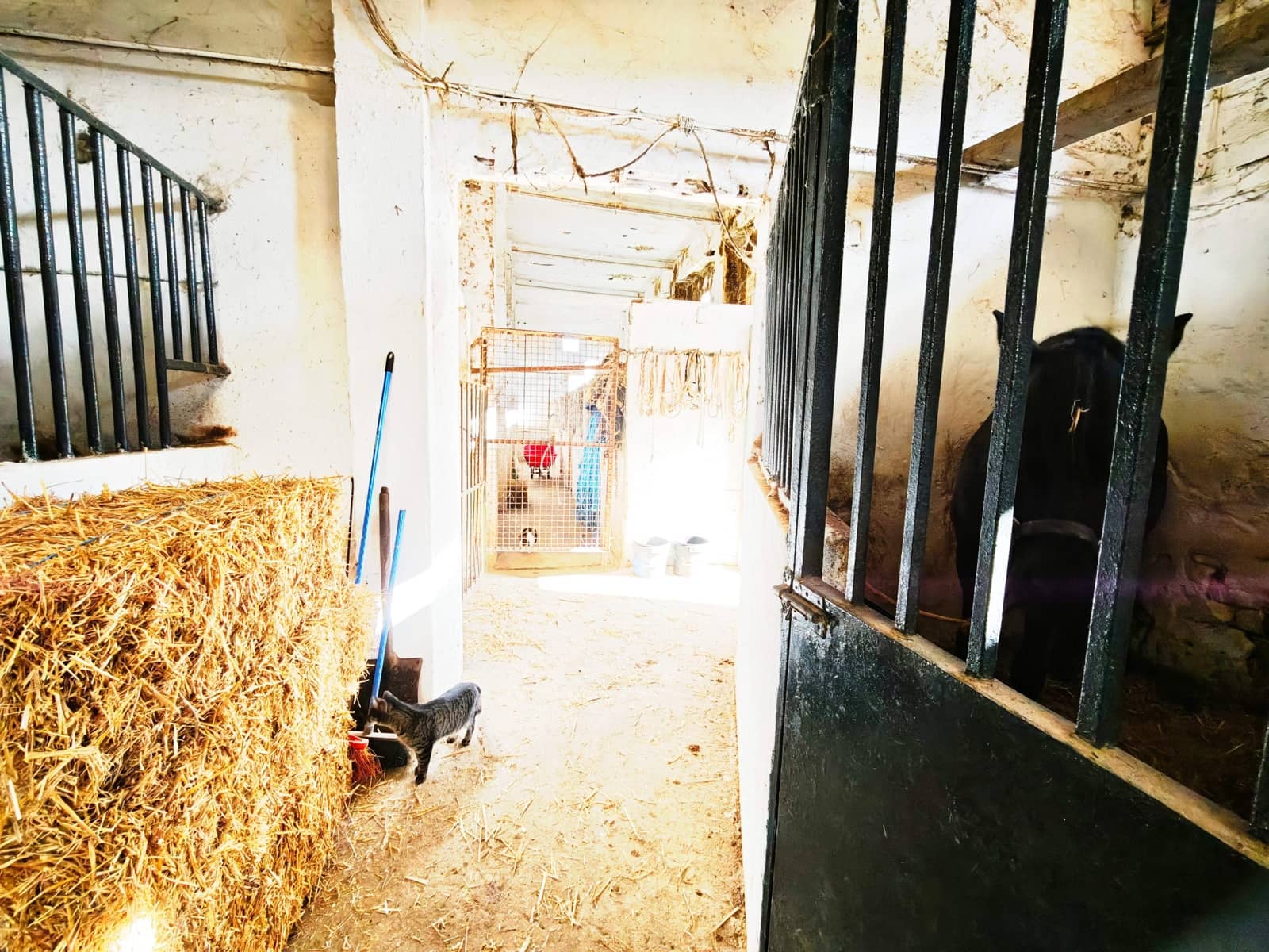 2 bedroom Finca/Country House for sale in Algeciras - € 590,000 (Ref: 9502385)