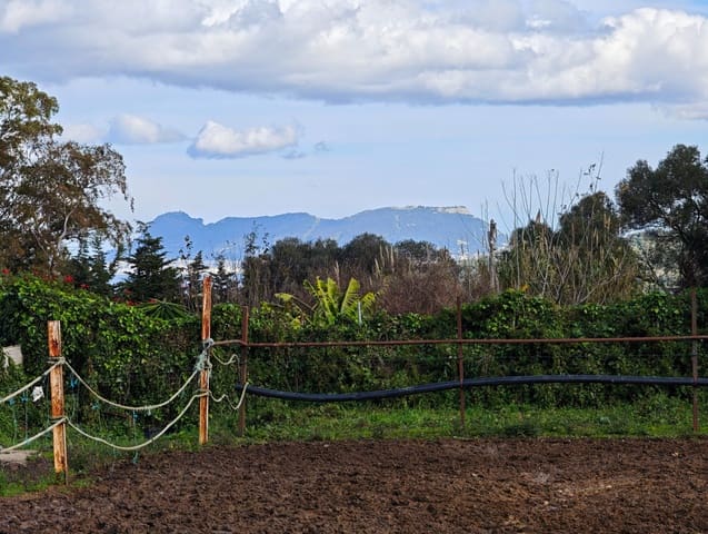 2 soveværelse Finca/Landehus til salg i Algeciras - € 590.000 (Ref: 9502385)