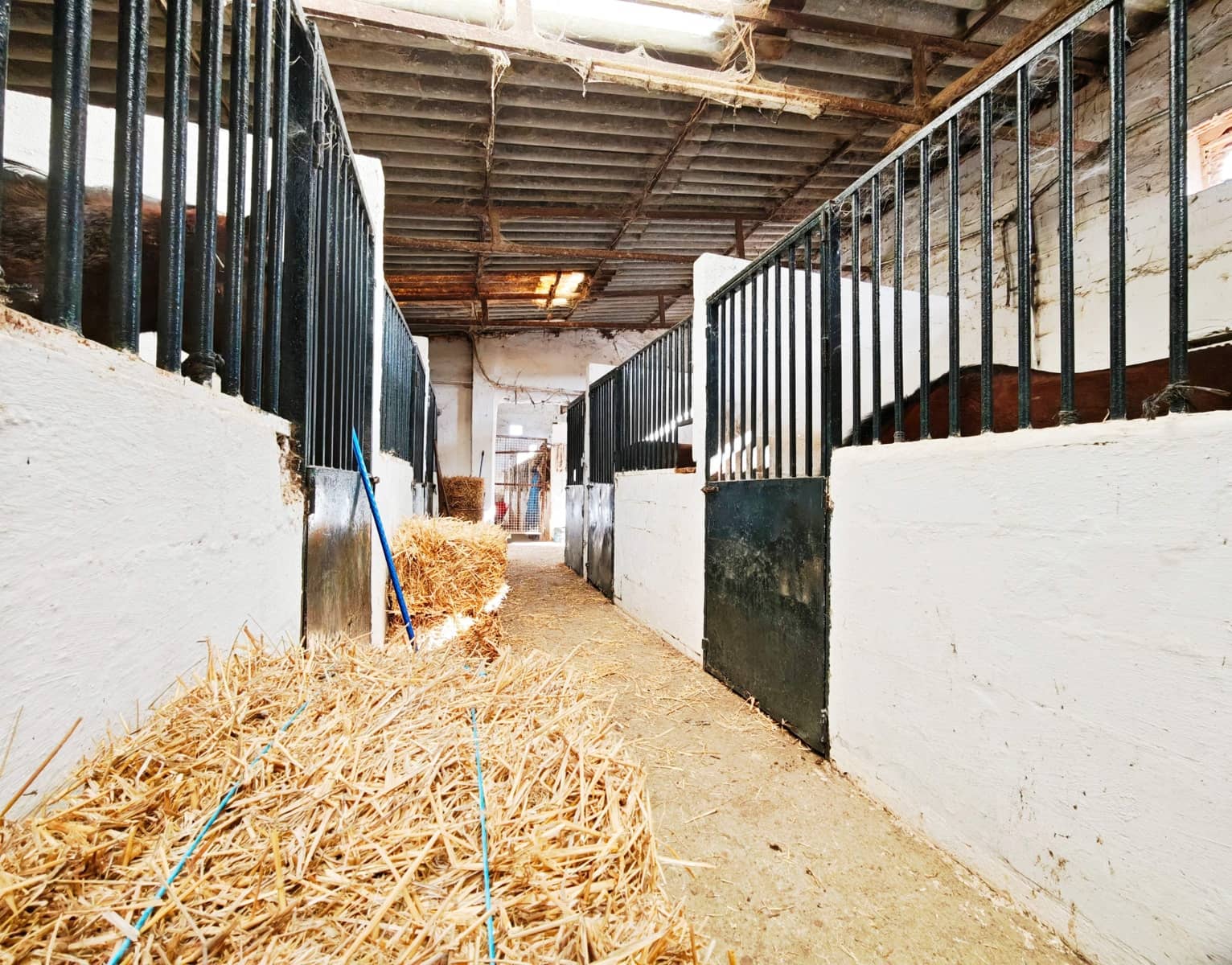 2 bedroom Finca/Country House for sale in Algeciras - € 590,000 (Ref: 9502385)