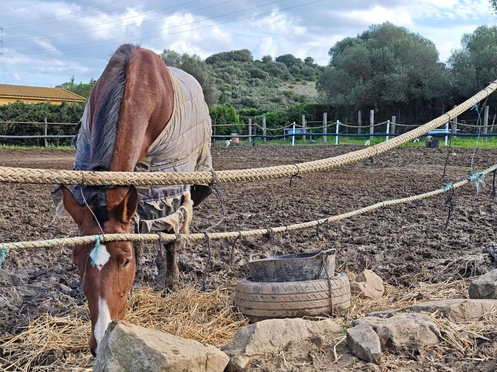 2 bedroom Finca/Country House for sale in Algeciras - € 590,000 (Ref: 9502385)