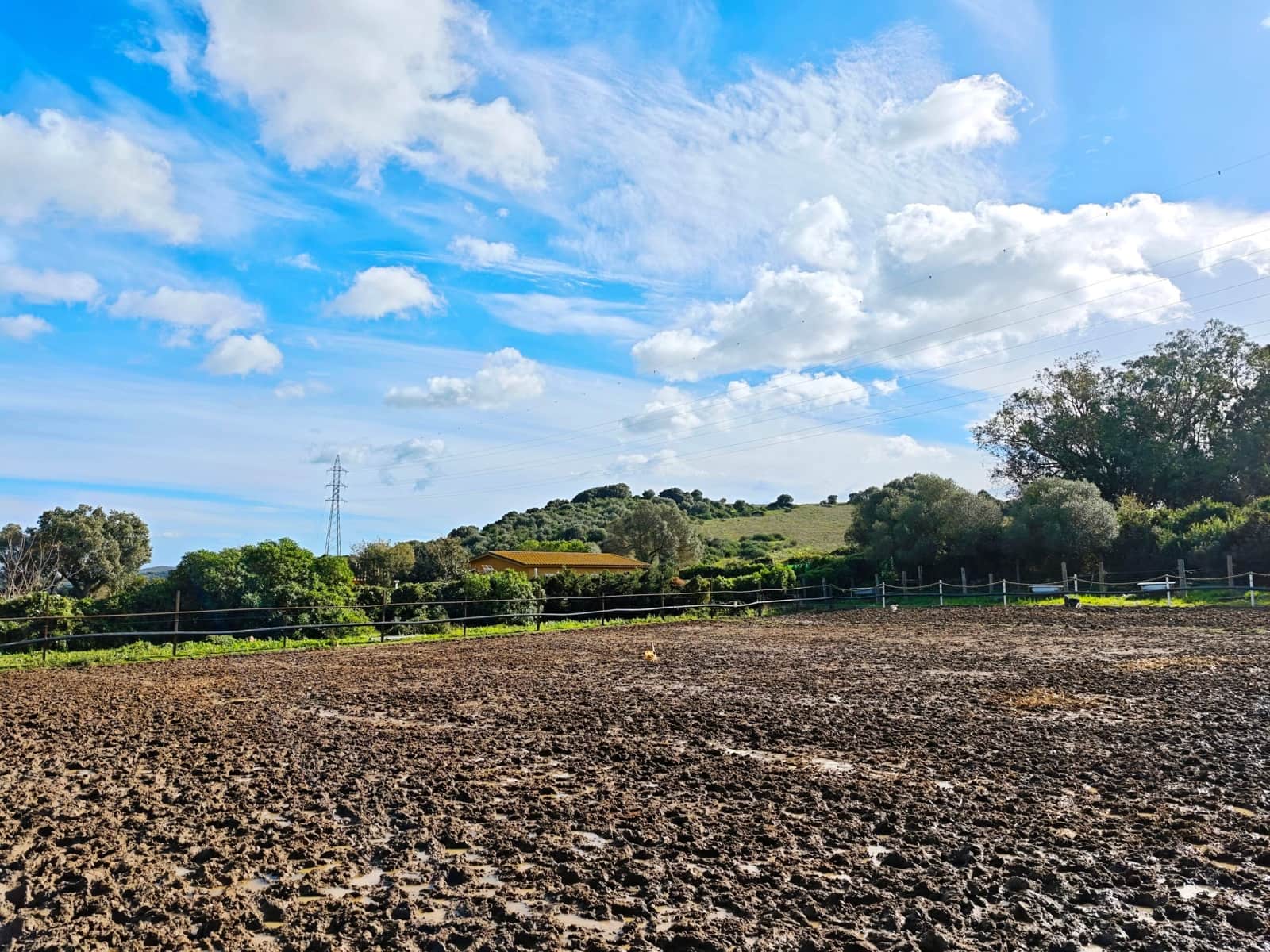 2 bedroom Finca/Country House for sale in Algeciras - € 590,000 (Ref: 9502385)