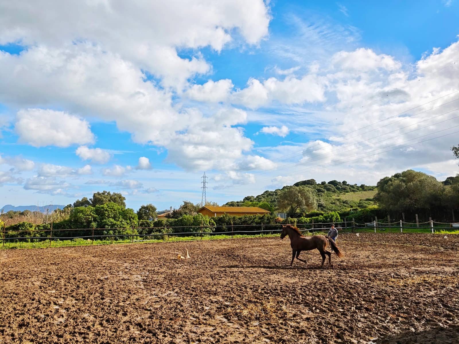 2 bedroom Finca/Country House for sale in Algeciras - € 590,000 (Ref: 9502385)