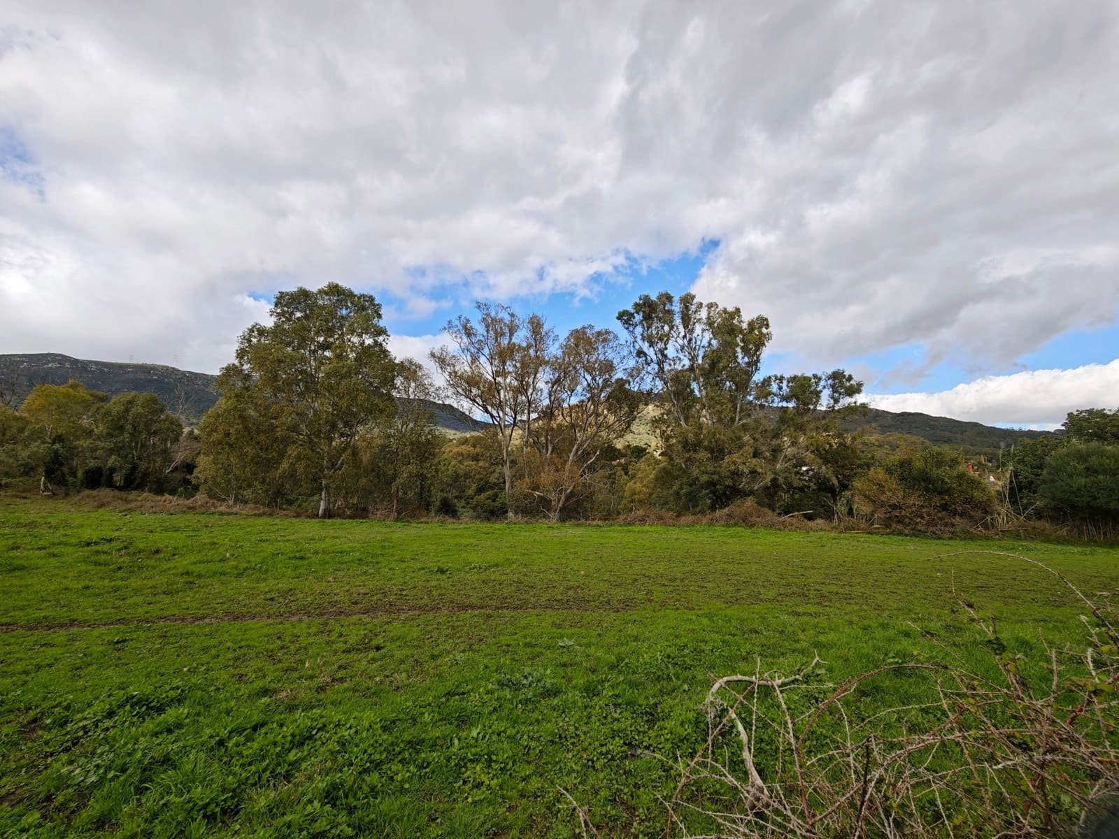 2 bedroom Finca/Country House for sale in Algeciras - € 590,000 (Ref: 9502385)