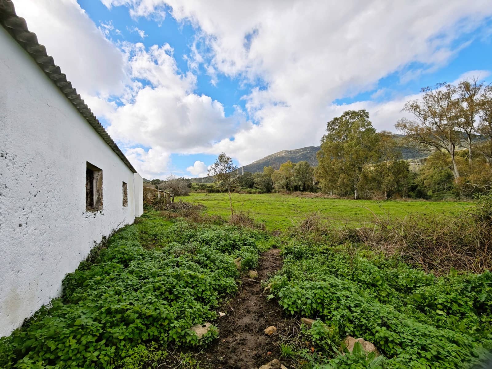 2 bedroom Finca/Country House for sale in Algeciras - € 590,000 (Ref: 9502385)