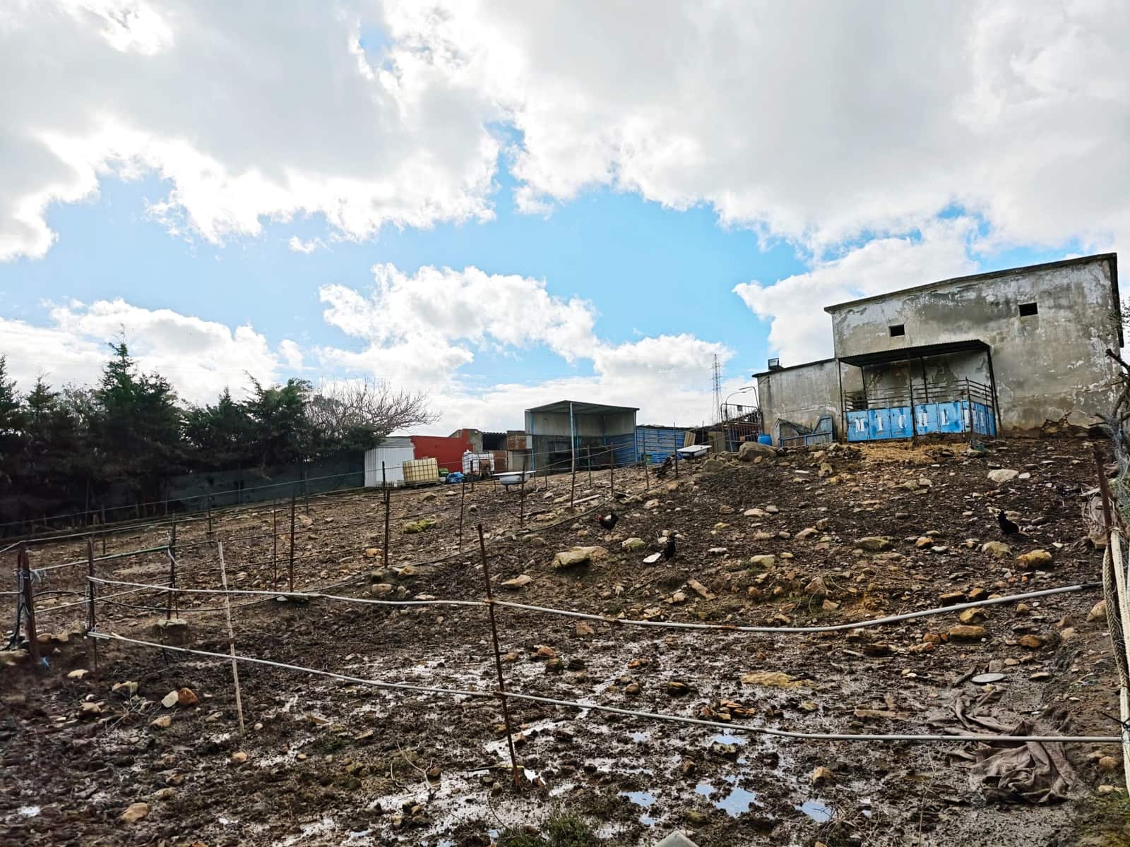 2 bedroom Finca/Country House for sale in Algeciras - € 590,000 (Ref: 9502385)