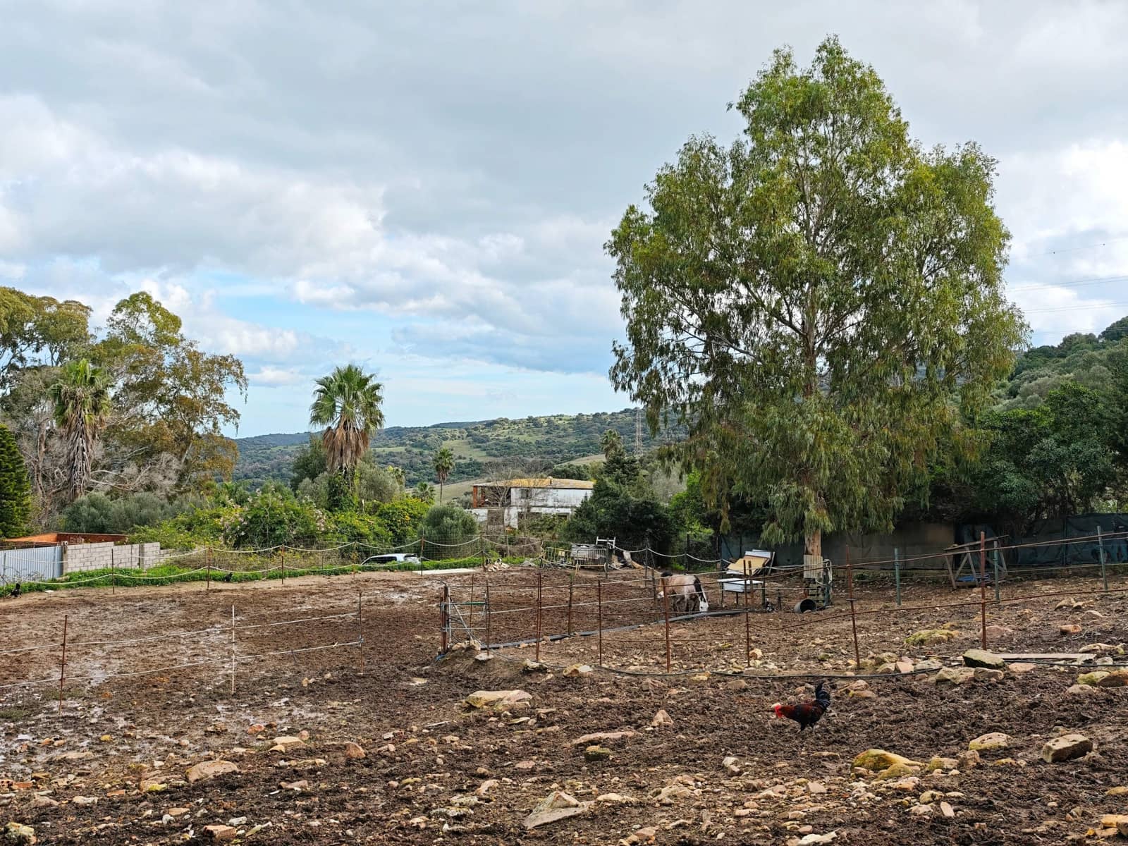 2 bedroom Finca/Country House for sale in Algeciras - € 590,000 (Ref: 9502385)