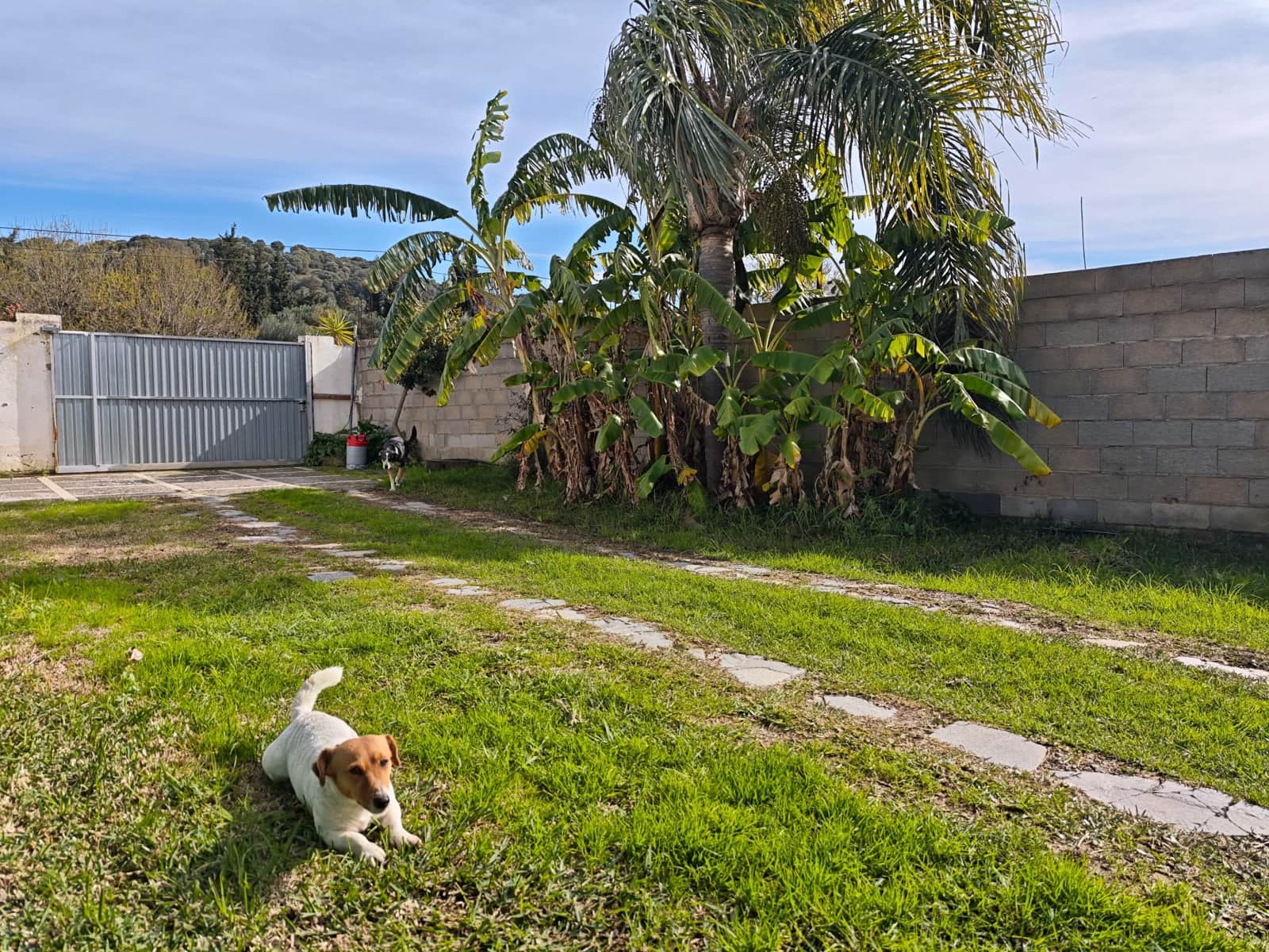 3 sovrum Finca/Hus på landet till salu i Los Barrios med pool - 220 000 € (Ref: 9530583)