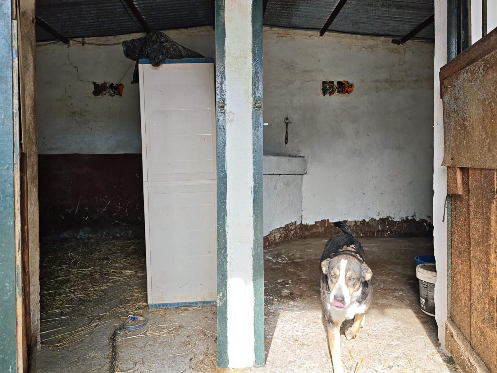 3 sovrum Finca/Hus på landet till salu i Los Barrios med pool - 220 000 € (Ref: 9530583)