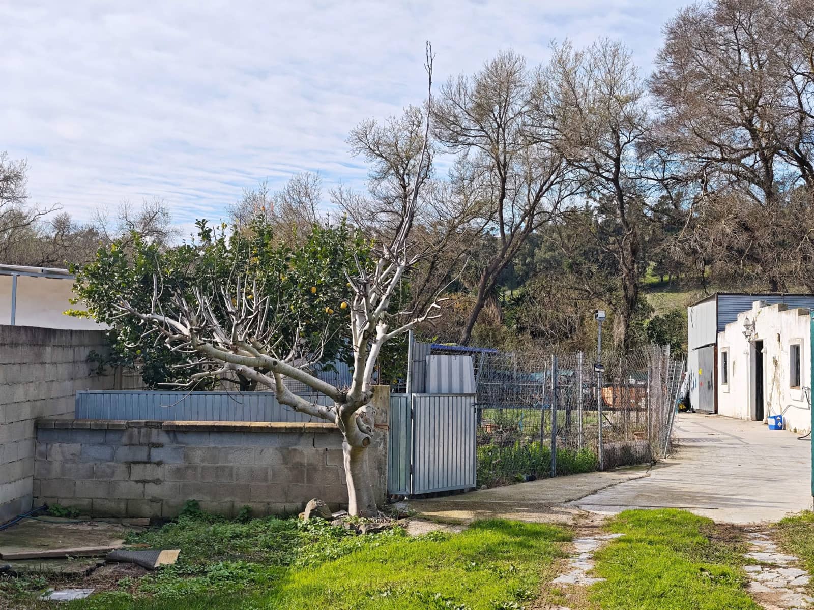 3 sovrum Finca/Hus på landet till salu i Los Barrios med pool - 220 000 € (Ref: 9530583)