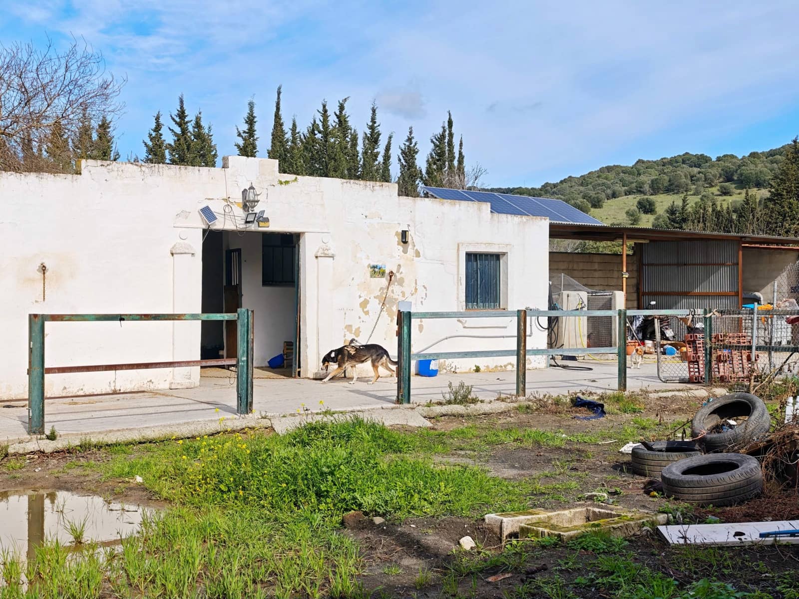 3 sovrum Finca/Hus på landet till salu i Los Barrios med pool - 220 000 € (Ref: 9530583)