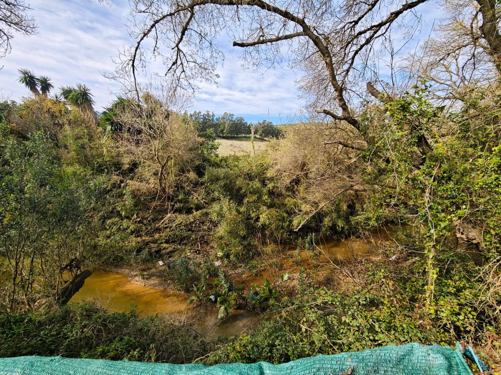 3 sovrum Finca/Hus på landet till salu i Los Barrios med pool - 220 000 € (Ref: 9530583)