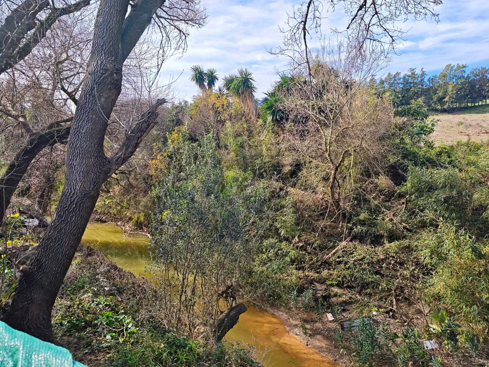 3 sovrum Finca/Hus på landet till salu i Los Barrios med pool - 220 000 € (Ref: 9530583)