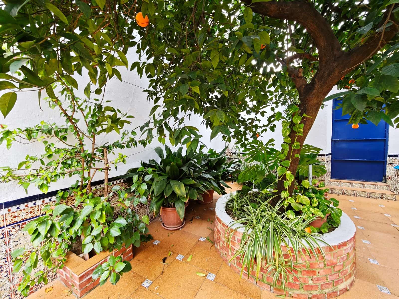 5 camera da letto Casa in vendita in San Pablo de Buceite - 148.000 € (Rif: 9535969)