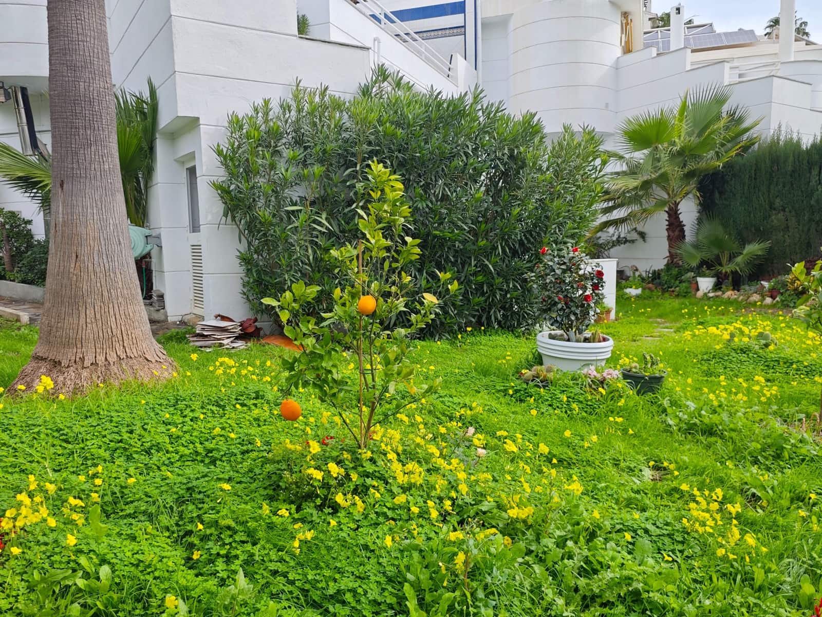 3 bedroom Villa for sale in Sitio de Calahonda with pool - € 690,000 (Ref: 9596168)