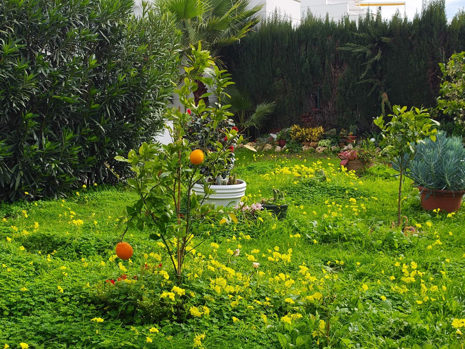 3 bedroom Villa for sale in Sitio de Calahonda with pool - € 690,000 (Ref: 9596168)