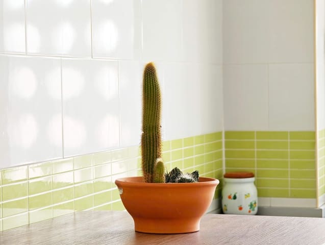 3 chambre Appartement à vendre à Algeciras - 160 000 € (Ref: 9683527)