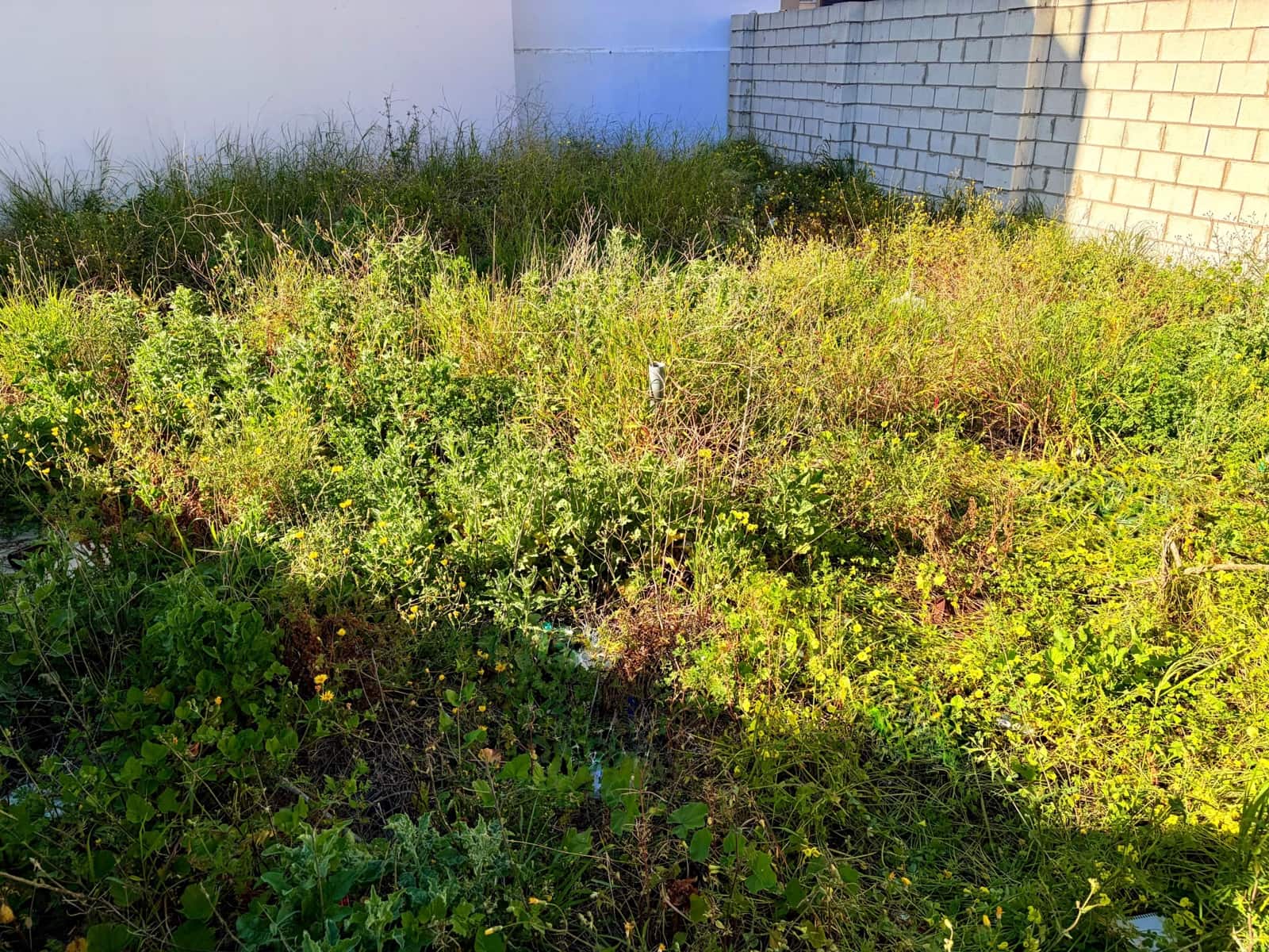 Building Plot for sale in La Linea de la Concepcion - € 150,000 (Ref: 9719994)