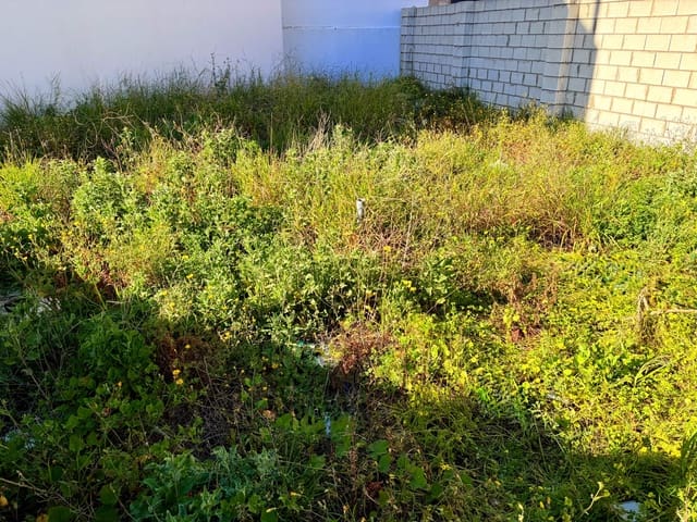 Bouwgrond te koop in La Línea de la Concepción - € 150.000 (Ref: 9719994)