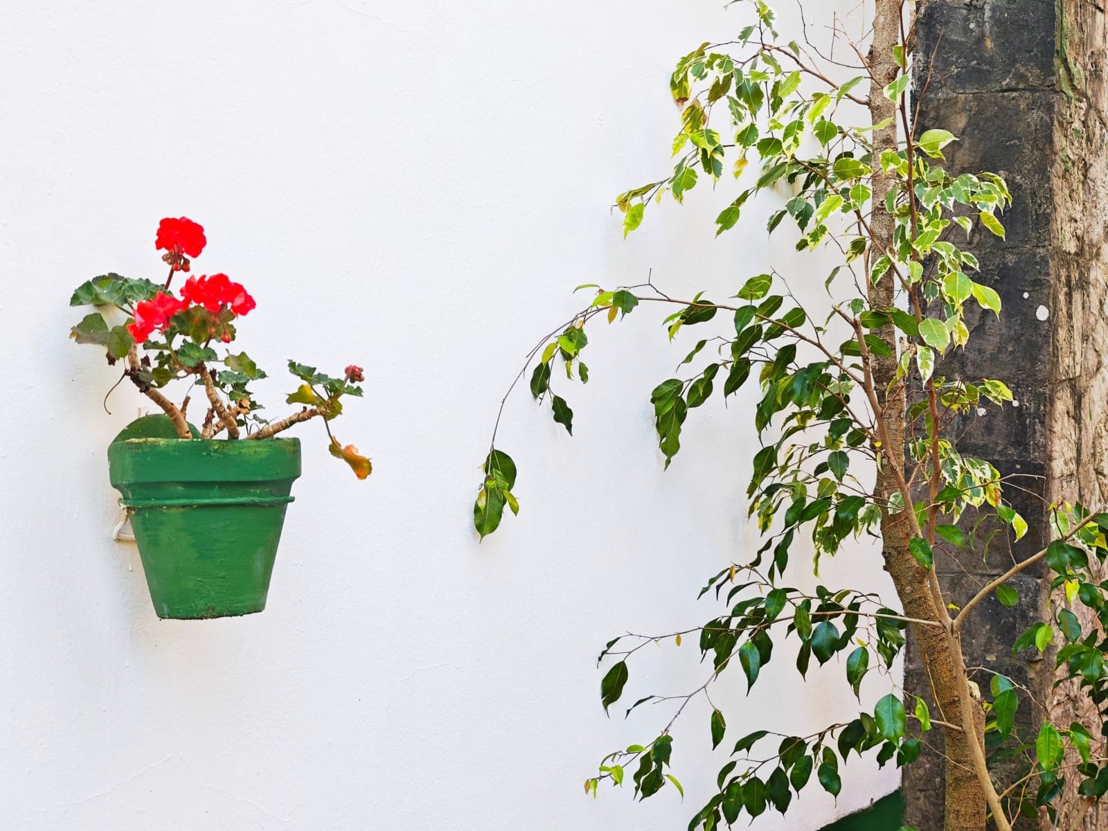 5 bedroom Villa for sale in Algeciras with pool garage - € 650,000 (Ref: 9784072)