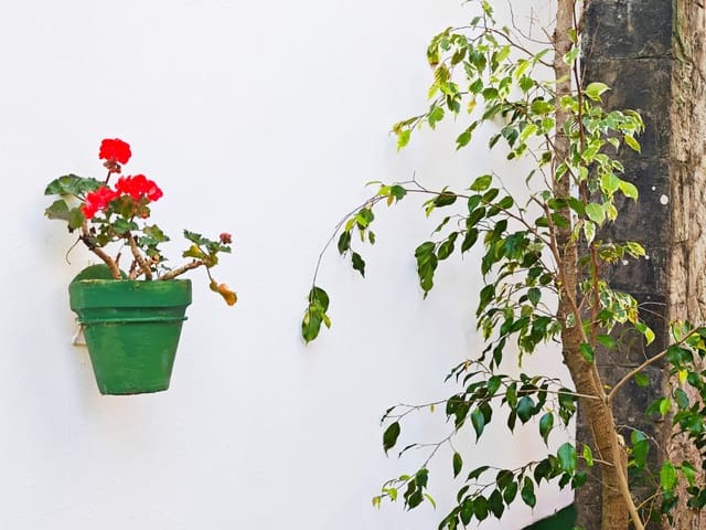 5 soveværelse Villa til salg i Algeciras med swimmingpool garage - € 650.000 (Ref: 9784072)