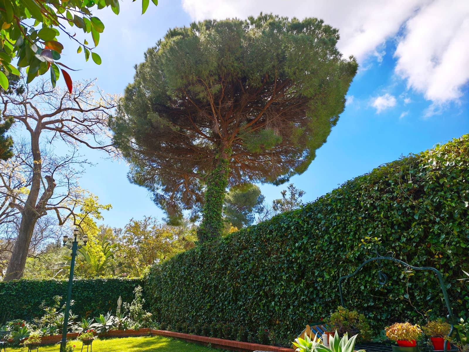 15 bedroom Villa for sale in Algeciras - € 730,000 (Ref: 9784073)