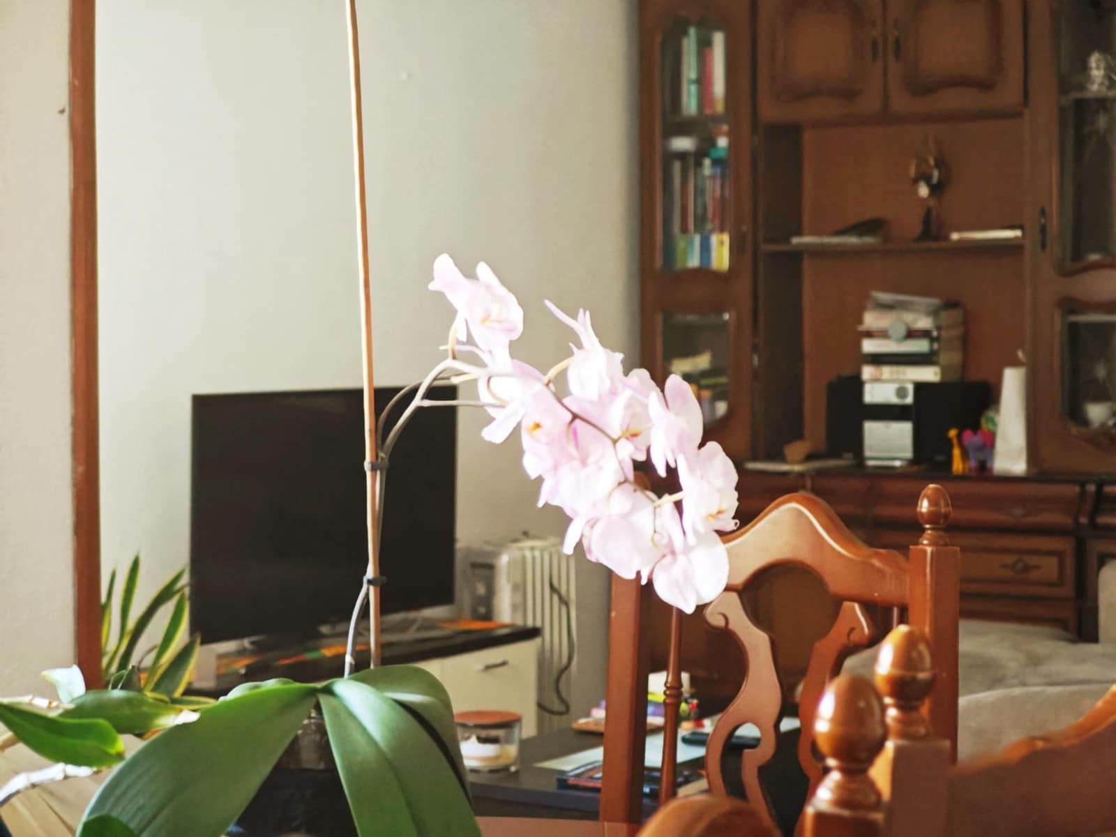 3 bedroom Flat for sale in Tarifa - € 425,000 (Ref: 9833692)