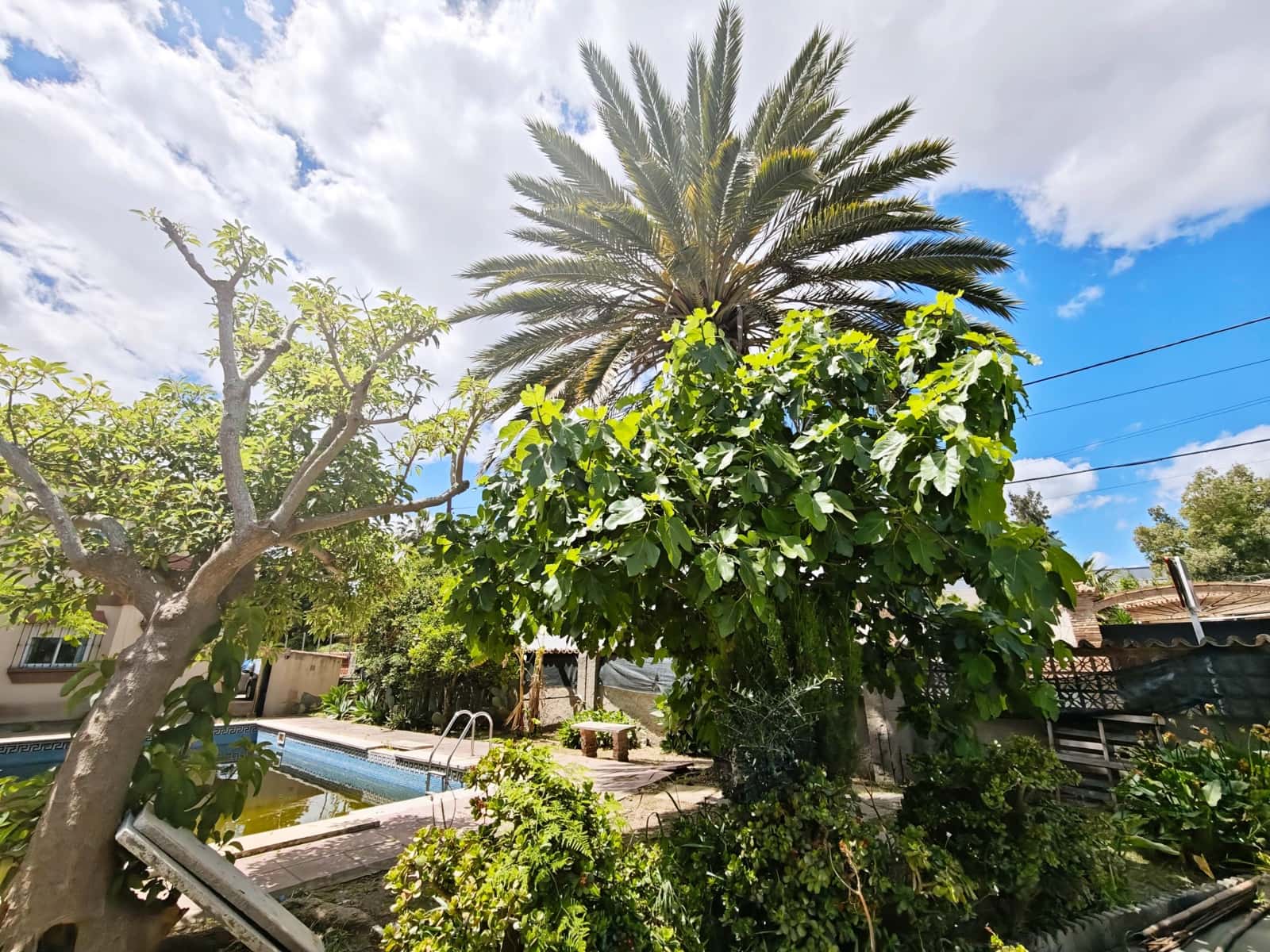 7 sypialnia Willa na sprzedaż w Algeciras z basenem garażem - 590 000 € (Ref: 9846261)
