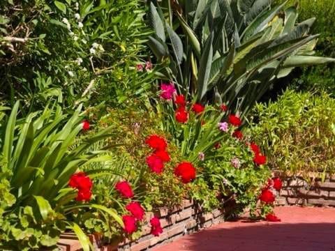 Adosado de 4 habitaciones en La Línea de la Concepción en venta con piscina - 610.000 € (Ref: 9865225)