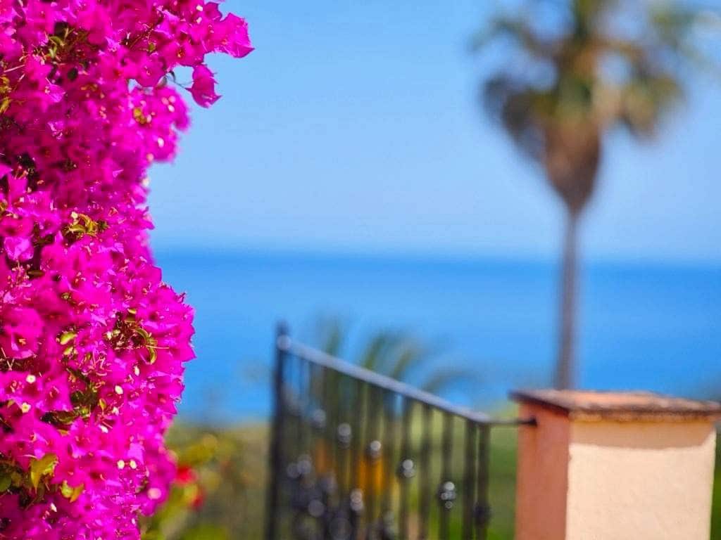Adosado de 4 habitaciones en La Línea de la Concepción en venta con piscina - 610.000 € (Ref: 9865225)