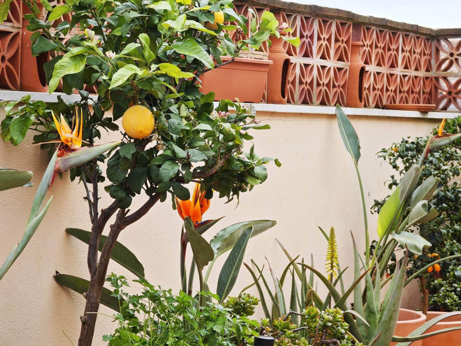 3 bedroom Terraced Villa for sale in La Linea de la Concepcion with garage - € 360,000 (Ref: 9867043)