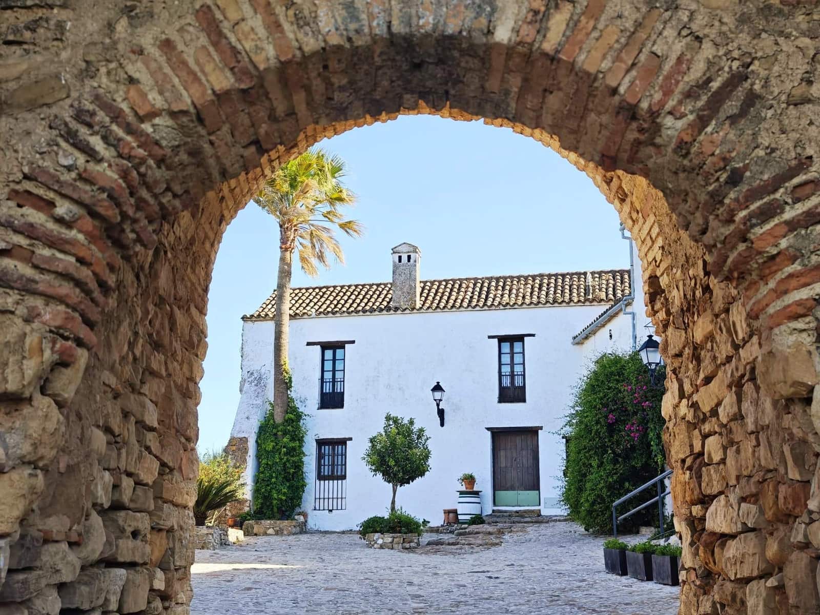 6 bedroom Commercial for sale in Castellar de la Frontera - € 800,000 (Ref: 9876470)